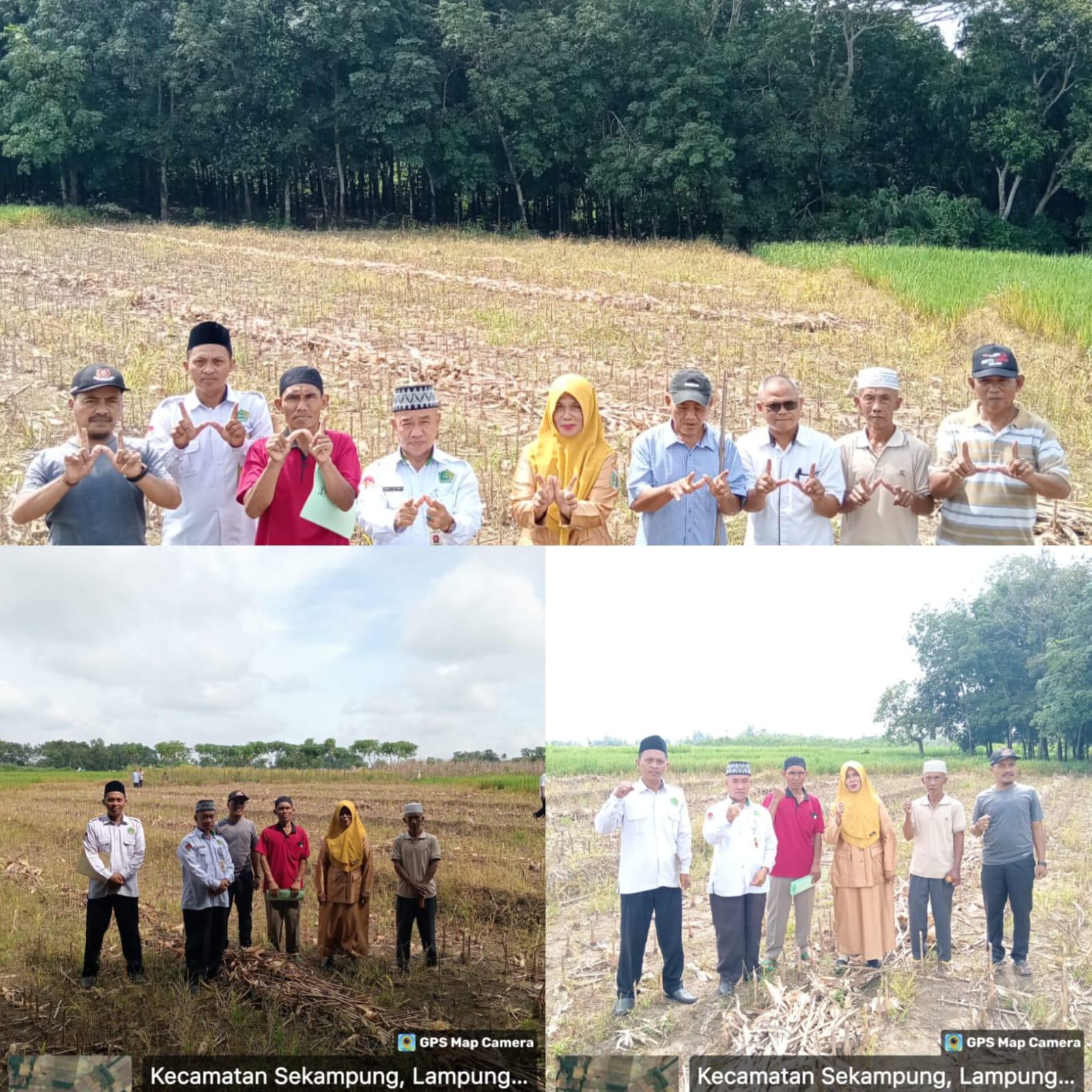 Kepala KUA Sekampung Verifikasi Tanah Wakaf untuk Masjid Al Haromaini